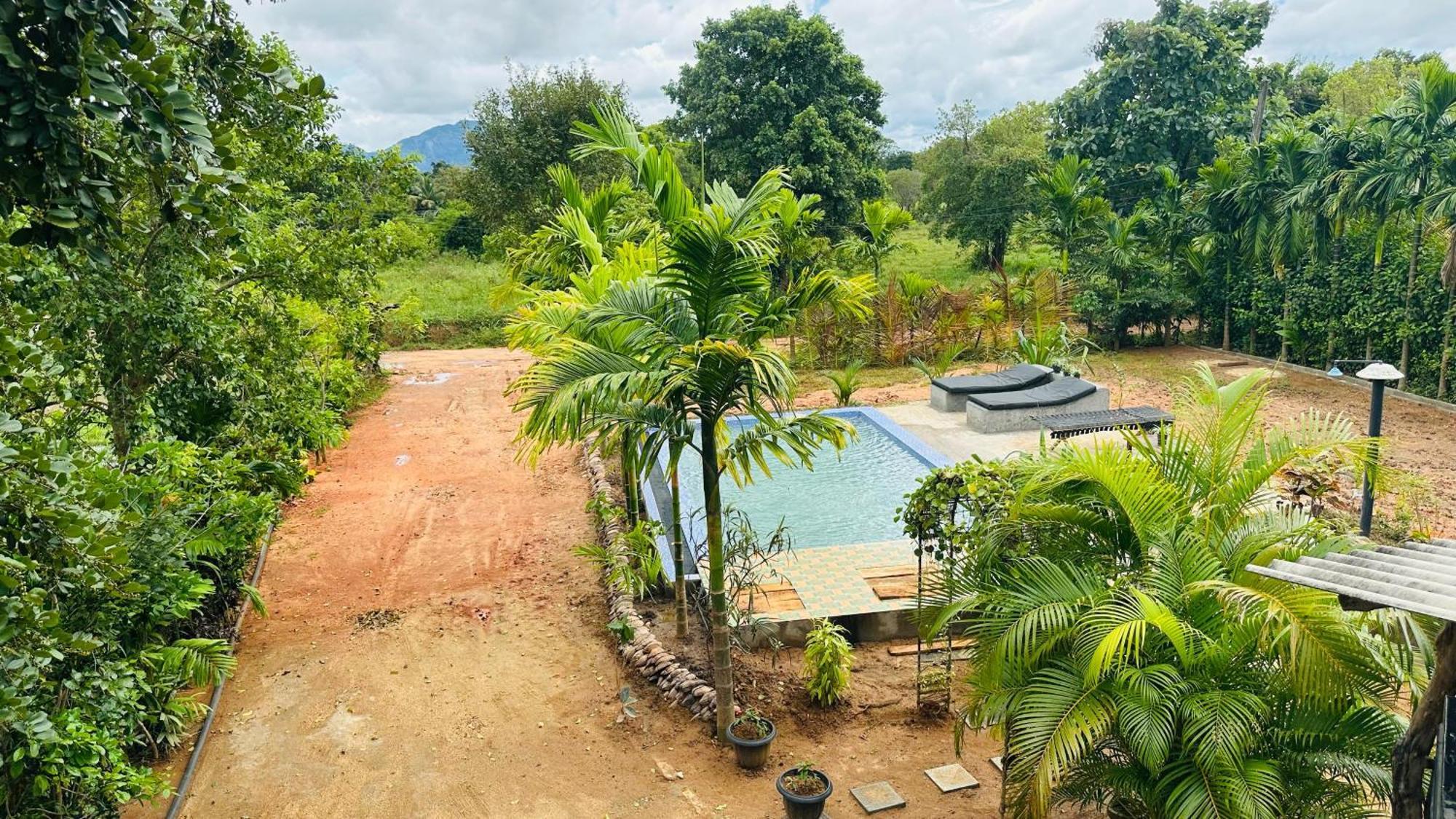 Dew Ashi Homestay Сигирия Экстерьер фото