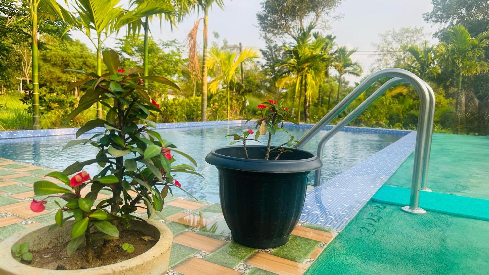 Dew Ashi Homestay Сигирия Экстерьер фото
