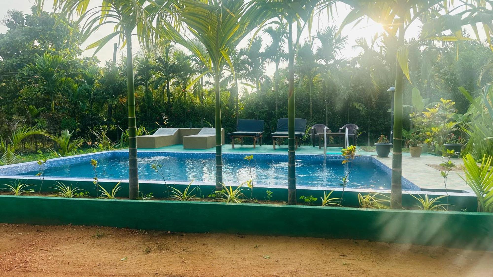 Dew Ashi Homestay Сигирия Экстерьер фото
