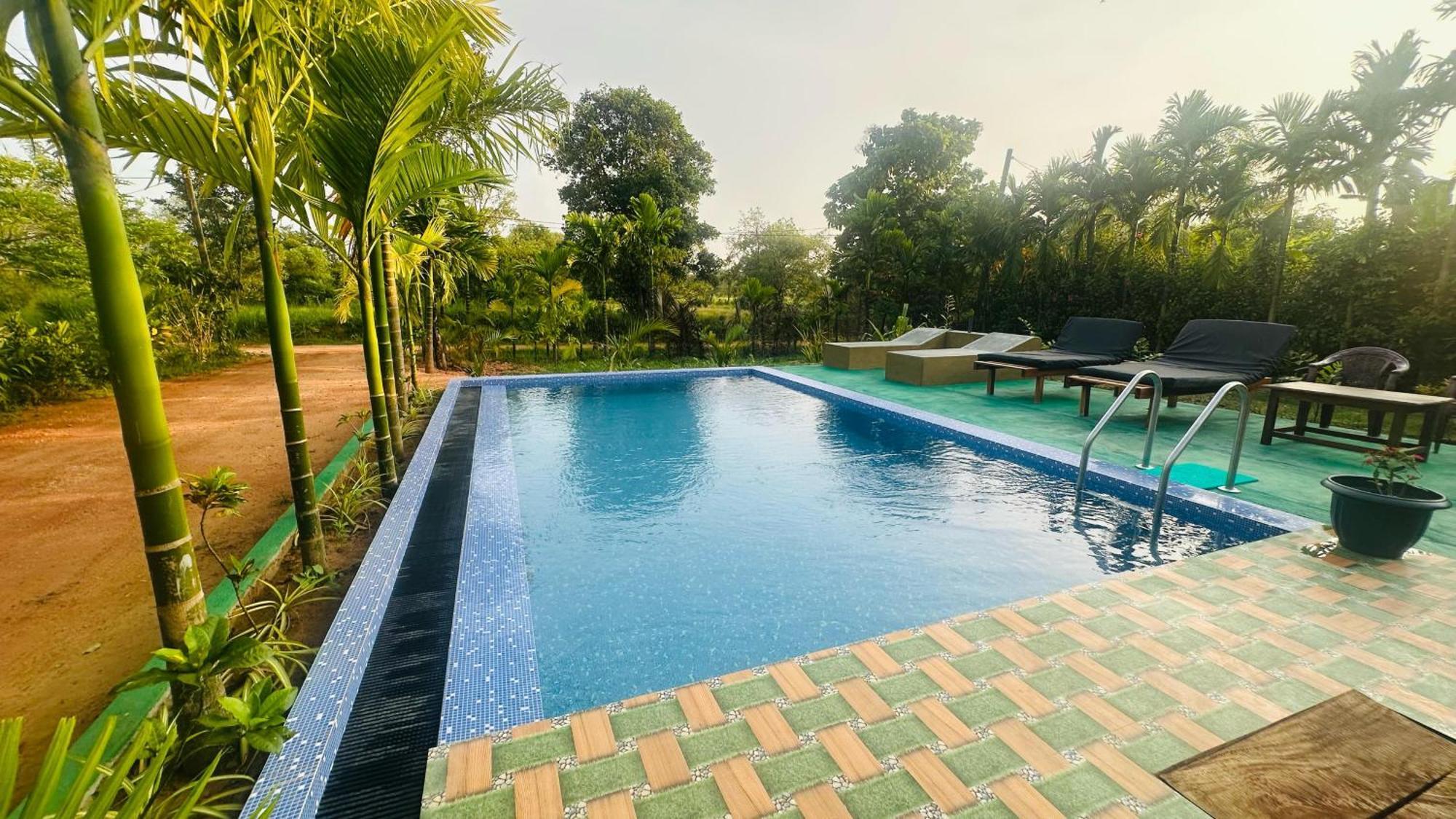 Dew Ashi Homestay Сигирия Экстерьер фото